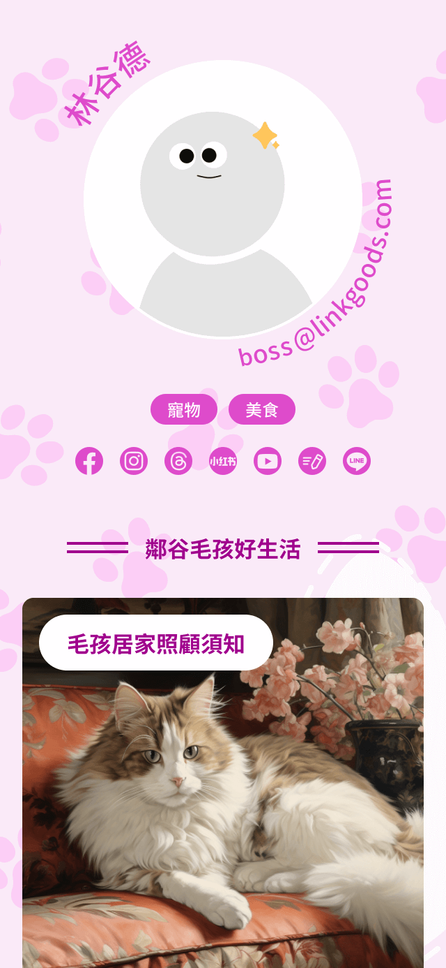 艾艾 | LINKGOODS